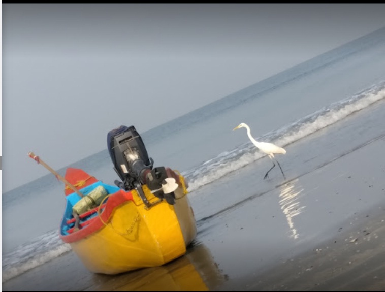 Wayanad- Kannur Tour Package