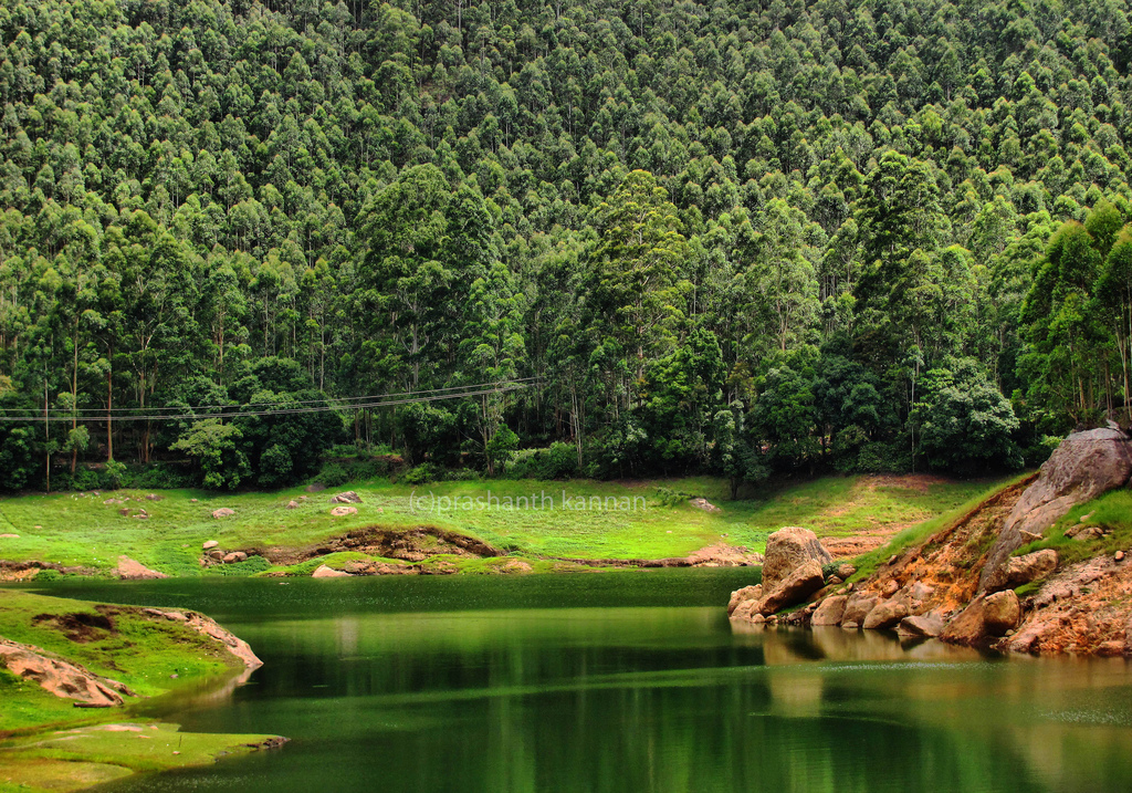 Kannur-Cochin-Munnar Tour Package